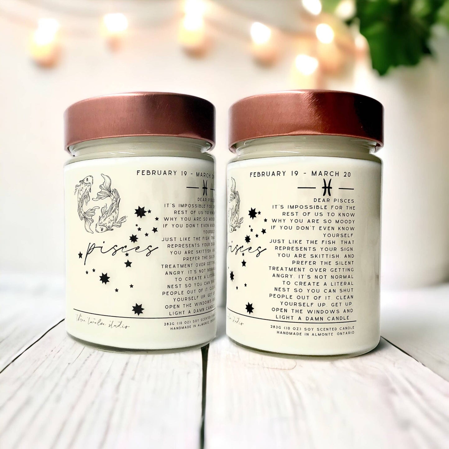 Three Twelve Studio - Zodiac Birthday Month Candle Collection, Funny Zodiac Candle: Vanilla / With Funny Horoscope