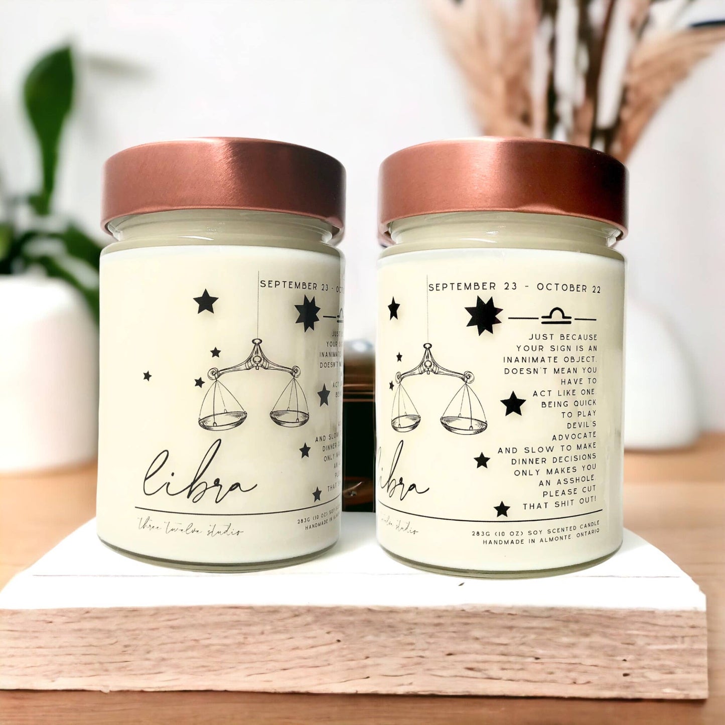 Three Twelve Studio - Zodiac Birthday Month Candle Collection, Funny Zodiac Candle: Vanilla / With Funny Horoscope